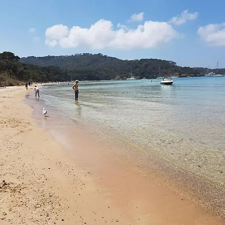 Apartamento Port Duplex Plein Sud 200 M2 Et 100 M2 De Terrasse Hyères