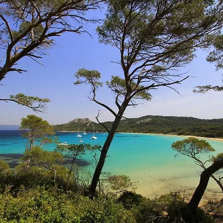 Port Duplex Plein Sud 200 M2 Et 100 M2 De Terrasse * Hyères