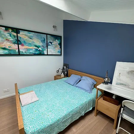 Apartman Port Duplex Plein Sud 200 M2 Et 100 M2 De Terrasse Hyères