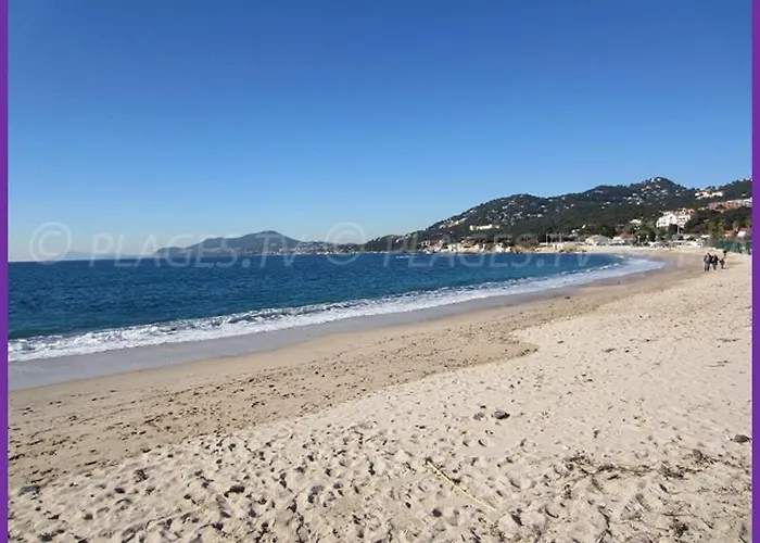 公寓 Port Duplex Plein Sud 200 M2 Et 100 M2 De Terrasse *