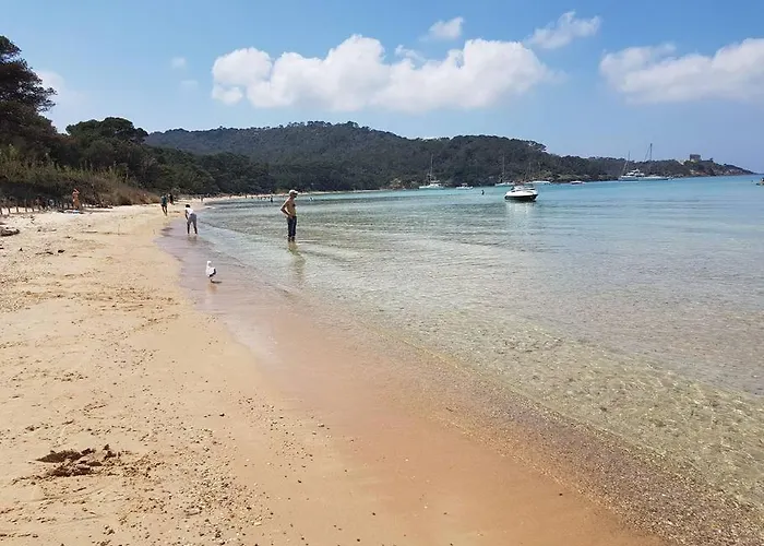 公寓 Port Duplex Plein Sud 200 M2 Et 100 M2 De Terrasse 耶尔