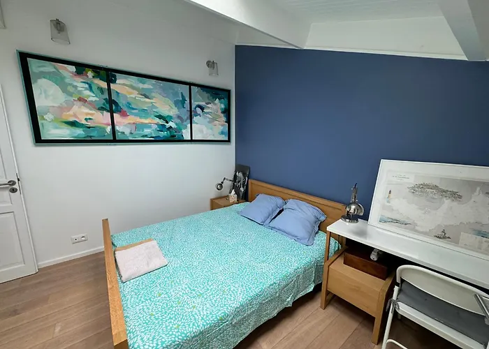 公寓 Port Duplex Plein Sud 200 M2 Et 100 M2 De Terrasse 耶尔