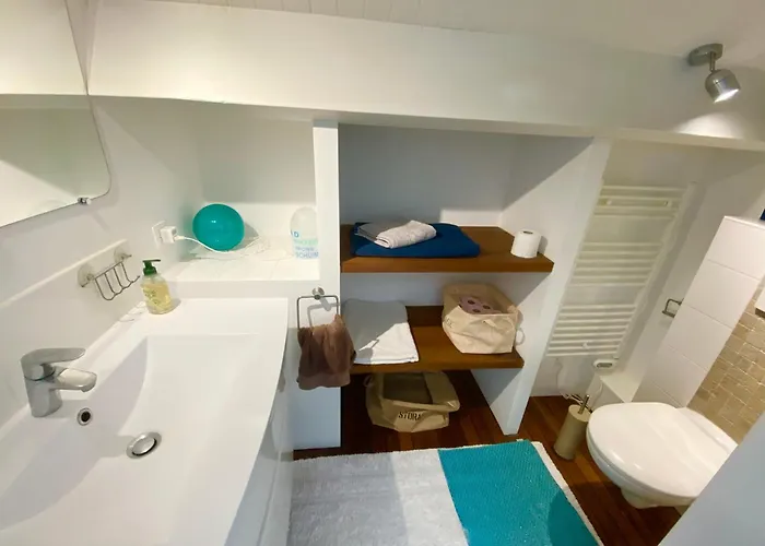 公寓 Port Duplex Plein Sud 200 M2 Et 100 M2 De Terrasse